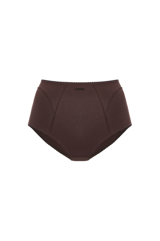 High-Waisted Briefs in Brown