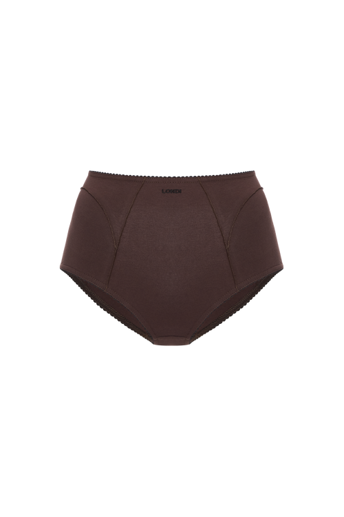 High-Waisted Briefs in Brown